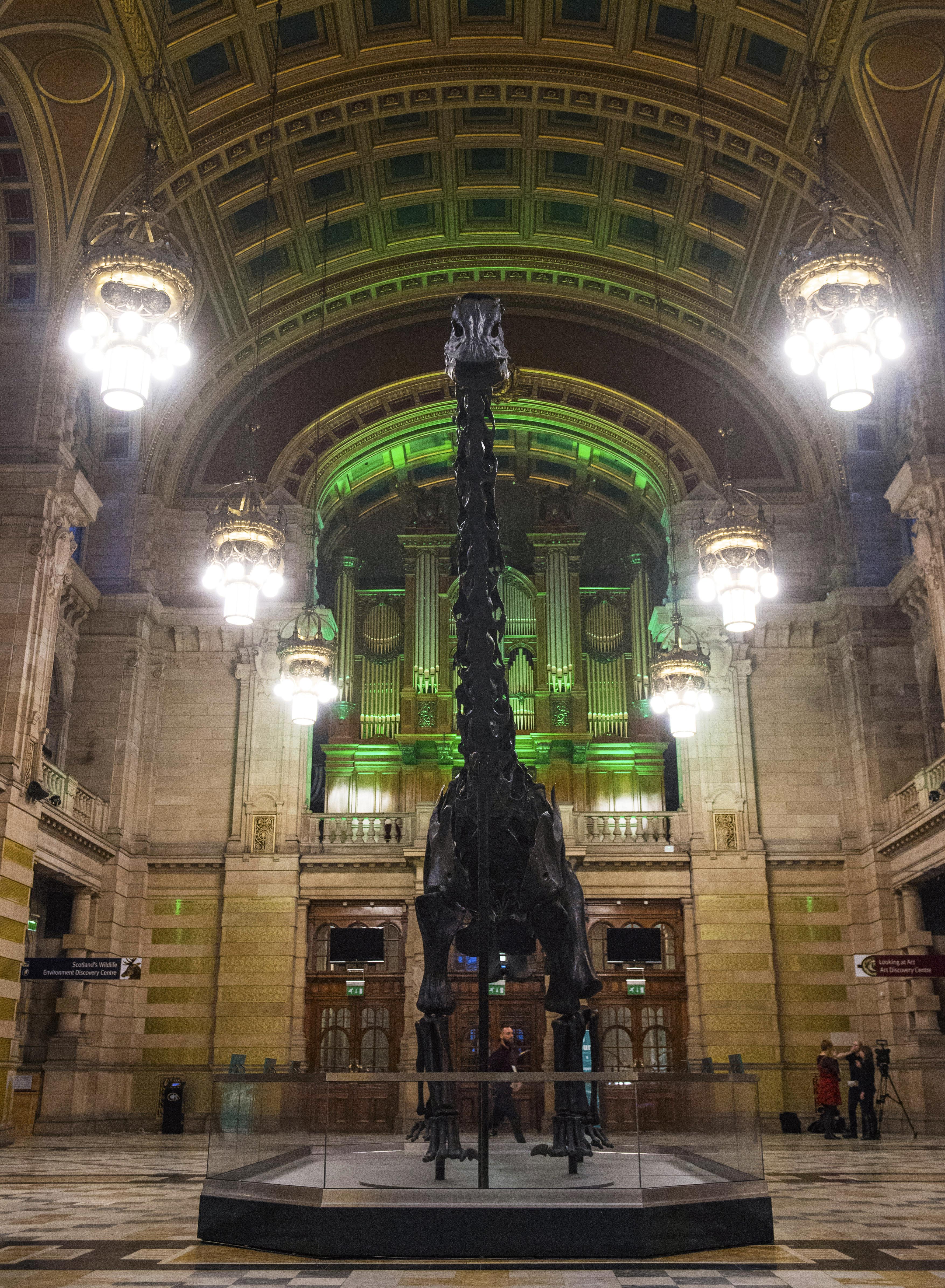 kelvingrove dinosaur