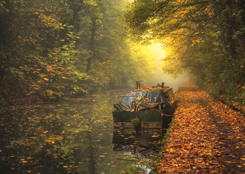 At the Water’s Edge – Commended Chris Fletcher (UK) Grand Union Canal, Olton, Solihull, England This shot was taken handheld using the diffused sunrise light to soften the subject and surrounding woodland. This helped to bring out the colour of the autumn leaves and of the boat. I regularly explore the canal network in the West Midlands and in autumn the atmosphere and colour of the waterways offer fantastic scenes to capture. The composition was made easy by the diagonal positioning of the canal and towpath, which gave me a natural rule of thirds image.