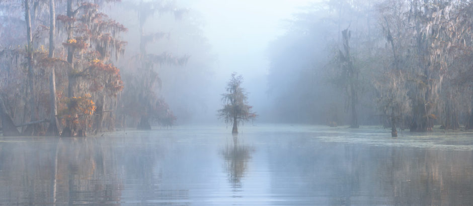 At the Water’s Edge – Winner Roberto Marchegiani (Italy) Lake Martin, Louisiana, USA The wetlands of Louisiana are a gigantic tangle of canals, swamps and forests that stretch around the great Mississippi estuary. In autumn the great cypresses are covered with Spanish moss. I was there for a week and every day at dawn and at dusk I went out sailing in a small boat. Eventually the fog and the delicate light of dawn turned the bayou into a fairytale setting, and when this small, solitary tree appeared through the mist in the middle of the canal, it looked like the entrance to a mysterious world.