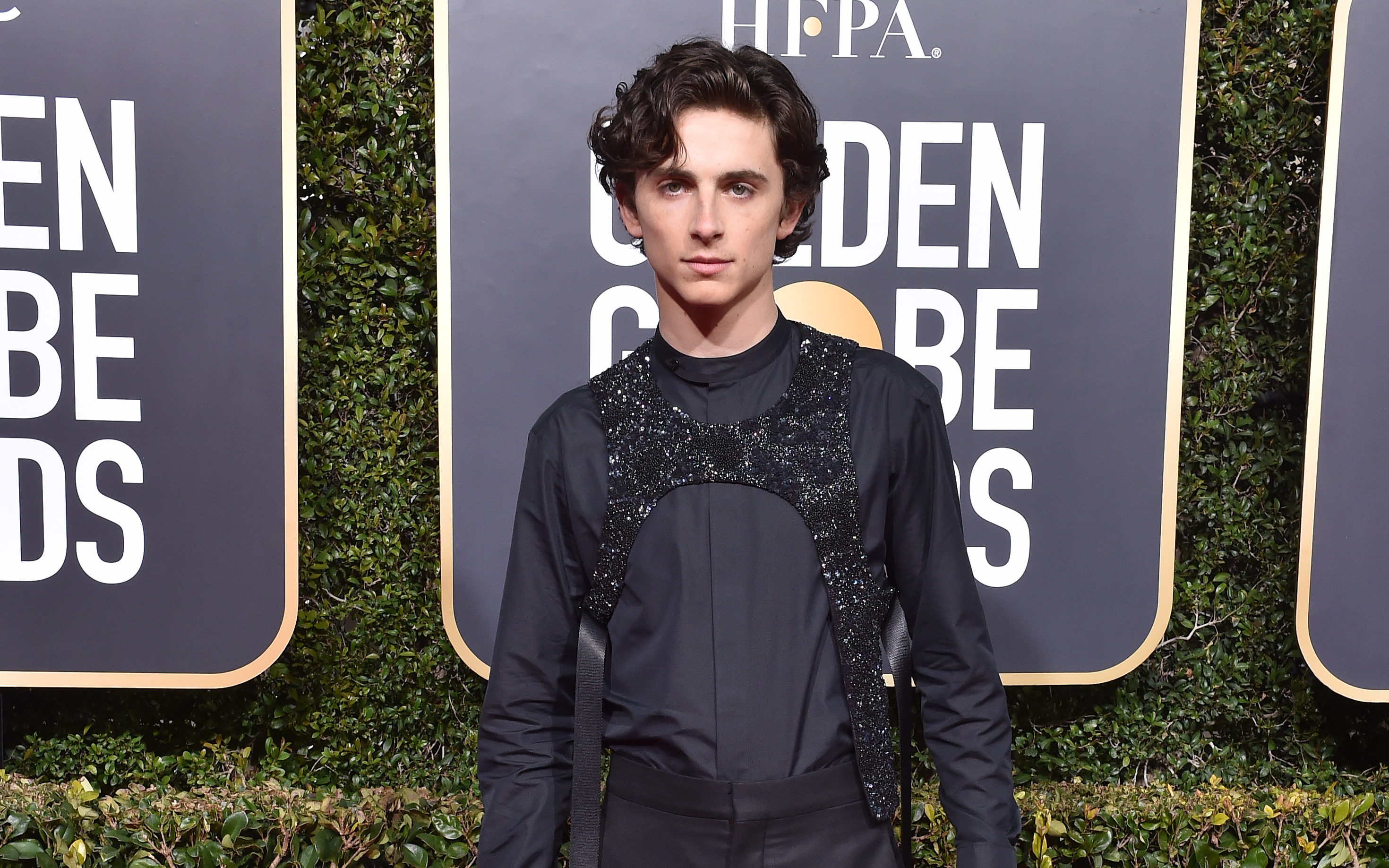 Harnesses as worn by Timothee Chalamet are 2019’s must-have fashion item in LA (Axelle/Bauer-Griffin/FilmMagic)