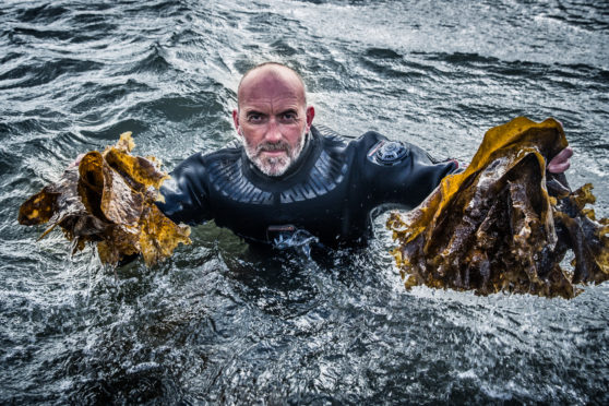 Seaweed forager Lewis Mackenzie