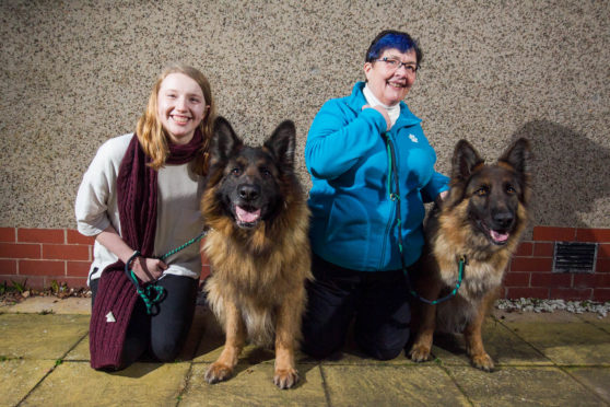 Aine Bidgood, left, and gran Doreen with German Shepherds Oscar and Kai