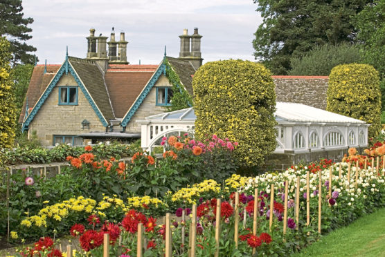 Victorian splashes of colour in Cragside gardens, Northumberland