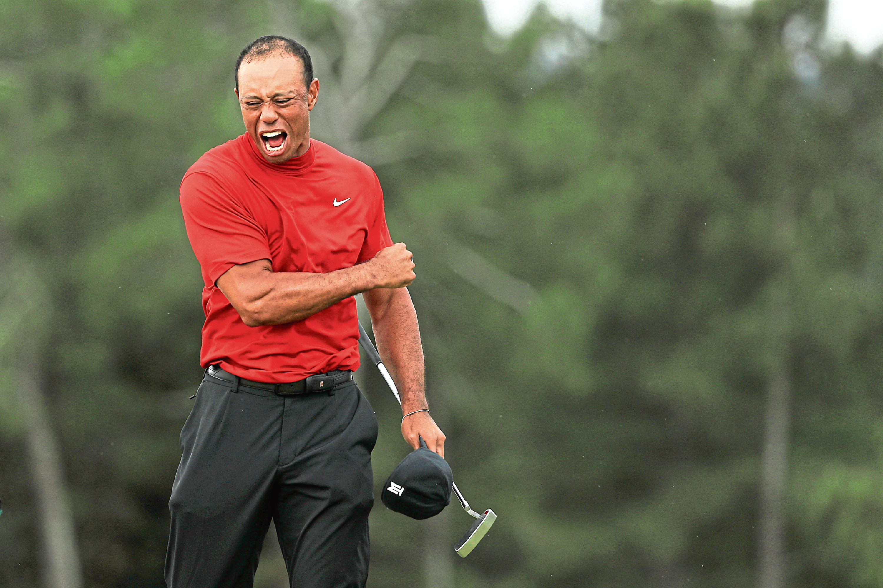 Tiger Woods celebrates his stunning victory at Augusta last Sunday