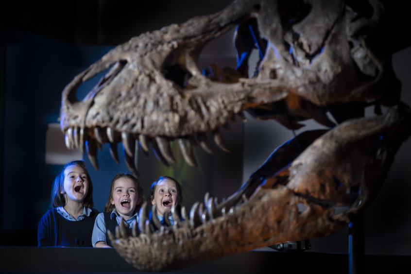 (left to right) Clara Duncanson, Zara Graham and Agnes Cunningham Wheeldon from Broomhill Primary School meeting Trix the T.rex
