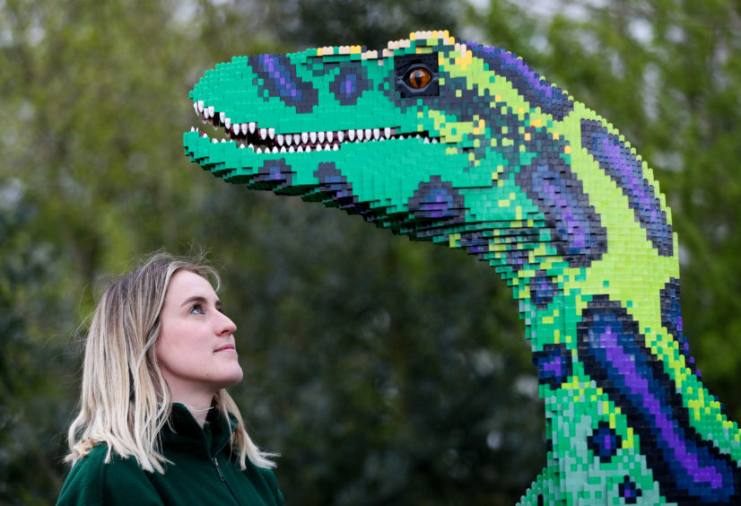 Zookeeper Laura McDowell gazes up lovingly at a Velociraptor made out of Lego which is on display at Marwell Zoo as part of the BRICKOSAURS! exhibition