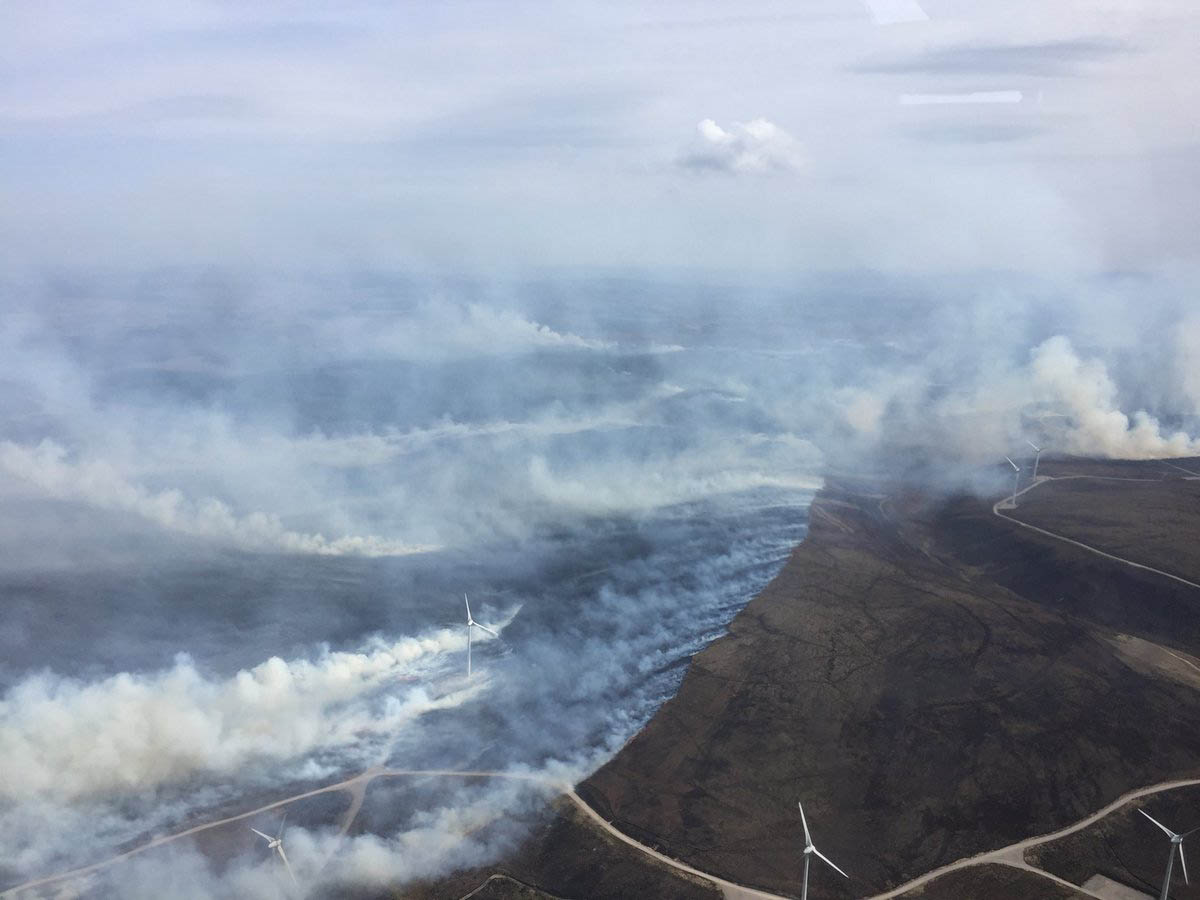 The Scottish Fire and Rescue Service (SFRS) has battled several wildfires across the country in the past week.
They included a blaze near Paul's Hill wind farm at Knockando which broke out on Monday.