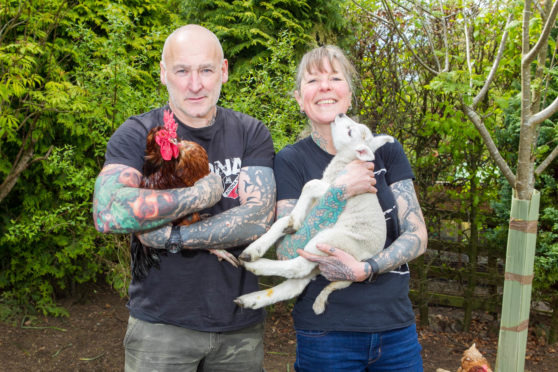 John Ryan and Morag Sangster save animals which would have otherwise gone to slaughter.