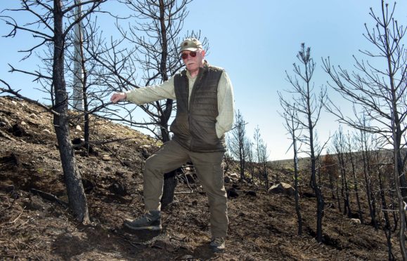 Bill Muircroft, Deer Manager at Altyre Estate inspects the damage caused by wildfires to the trees.