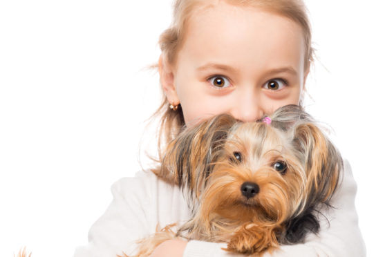 Research reveals benefits of having pets