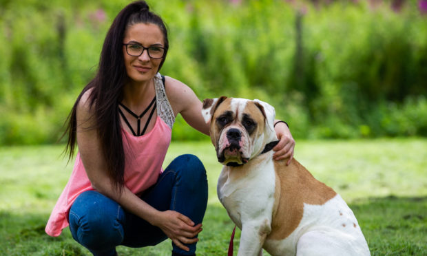 Pics of Marley the dog (with owner Kerry Anne Shaw), who was bitten by an adder