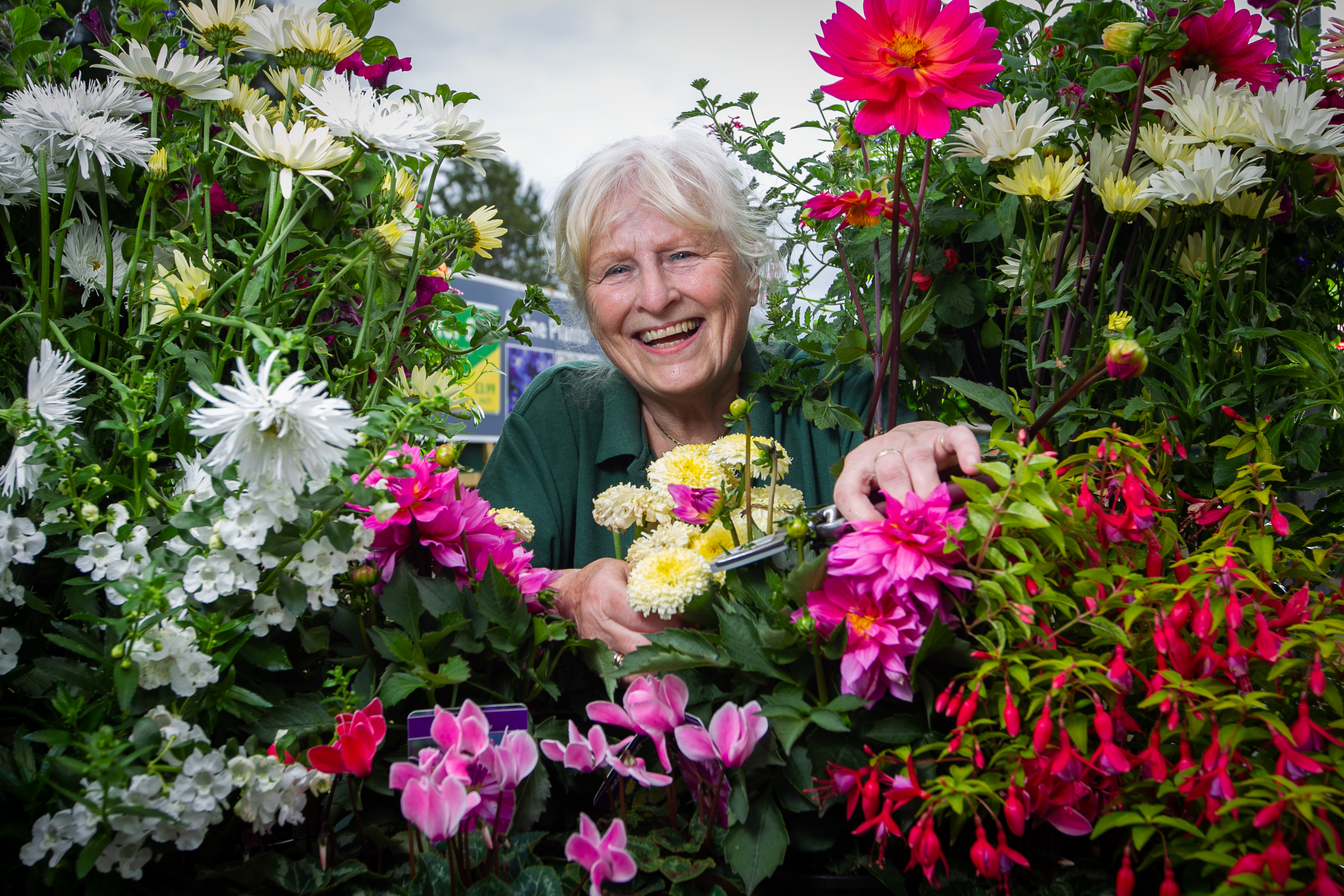 Sheila McEwan, who is still working after retirement at Dobbies Garden Centre
