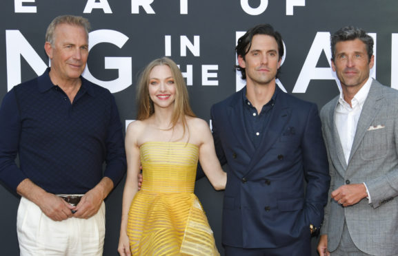 Kevin Costner, Amanda Seyfried, Milo Ventimiglia and Patrick Dempsey at Art Of Racing In The Rain premiere