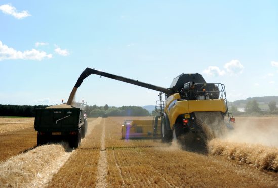 Barley harvest in Muir of Ord, near Inverness