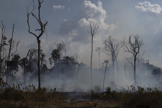 An area of the Amazon smoulders