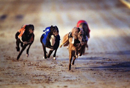 Shawfields Racing Track.