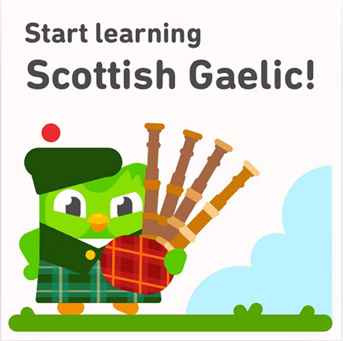 Duolingo phone app with the new Scottish Gaelic course which will be released on on St Andrew's Day.