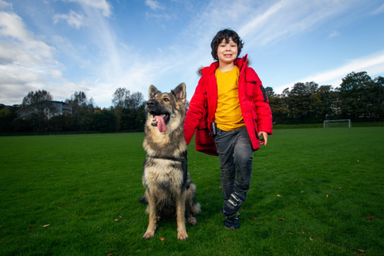 Six-year-old Jacob with pet German Shepherd Noble who alerts family members whenever Jacob’s blood sugar levels drop too low