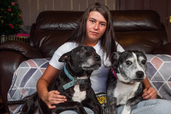 Zoe Letham with her two dogs, Zeus and Saint. Her family had another dog, Angel, which went missing a year ago, which they think could have been stolen