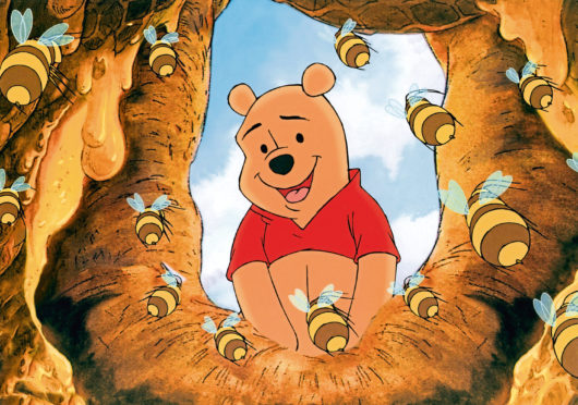 Winnie the Pooh