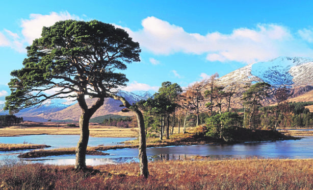 Loch Tulla and Stob Ghabhar, Bridge of Orchy - near, Argyll, UK, Scotland