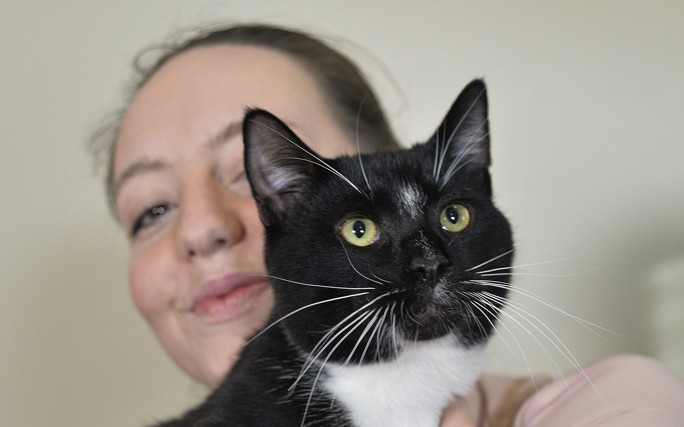 Woody the cat, with owner Stephanie Wood