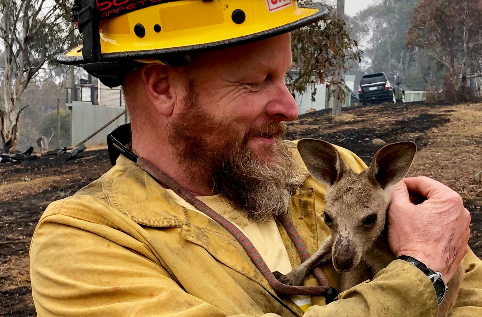 Firefighter Dave Soldavini cradles a baby kangaroo rescued from blazes in southeast Australia