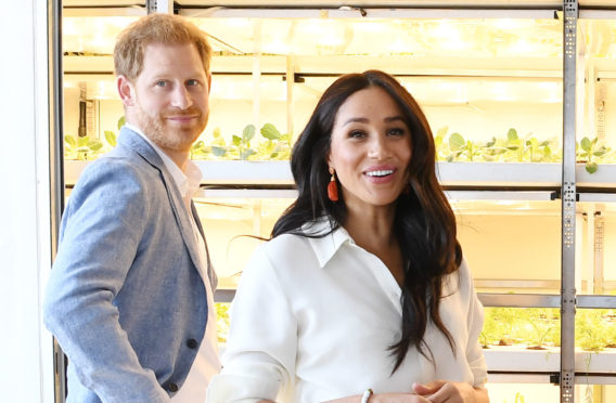 Harry and Meghan on tour in South Africa last year