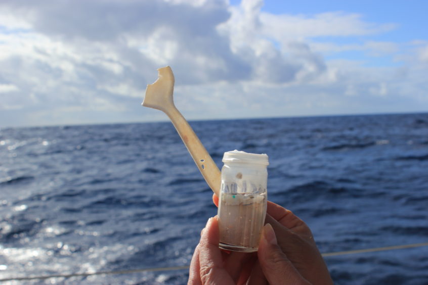Plastic fragments recovered included part of a fork