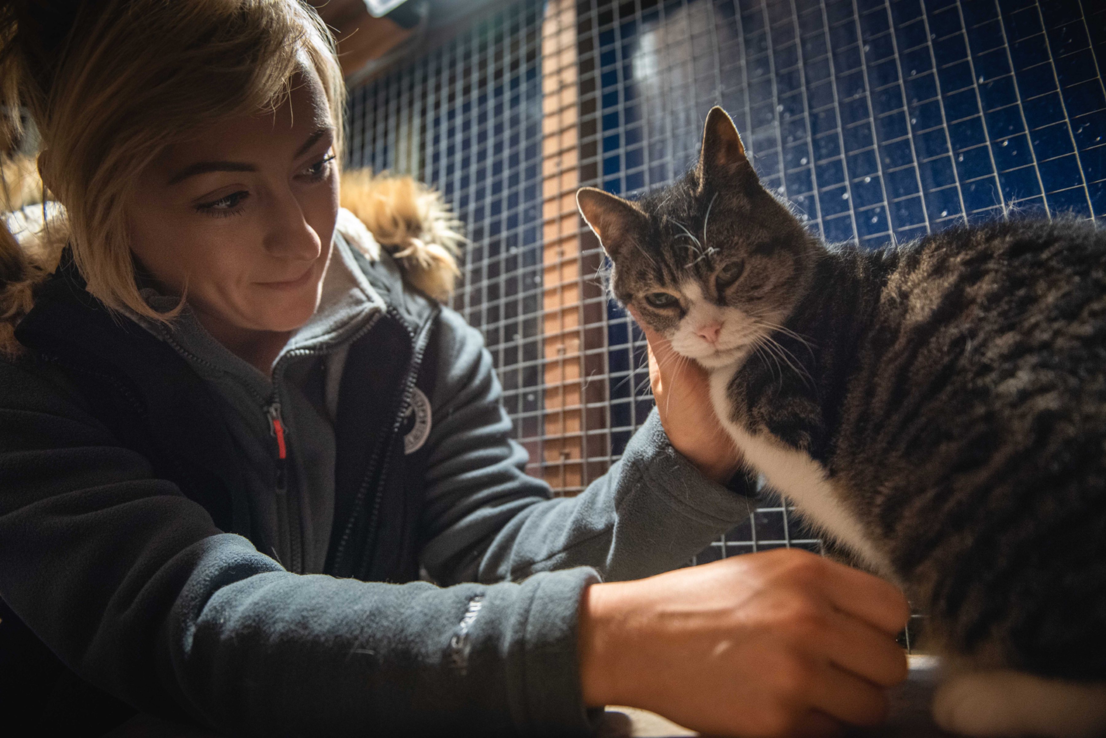 Volunteer Cat Campbell at the animal sanctuary set up after Cats Protection branches were closed in Sandwick, Lewis