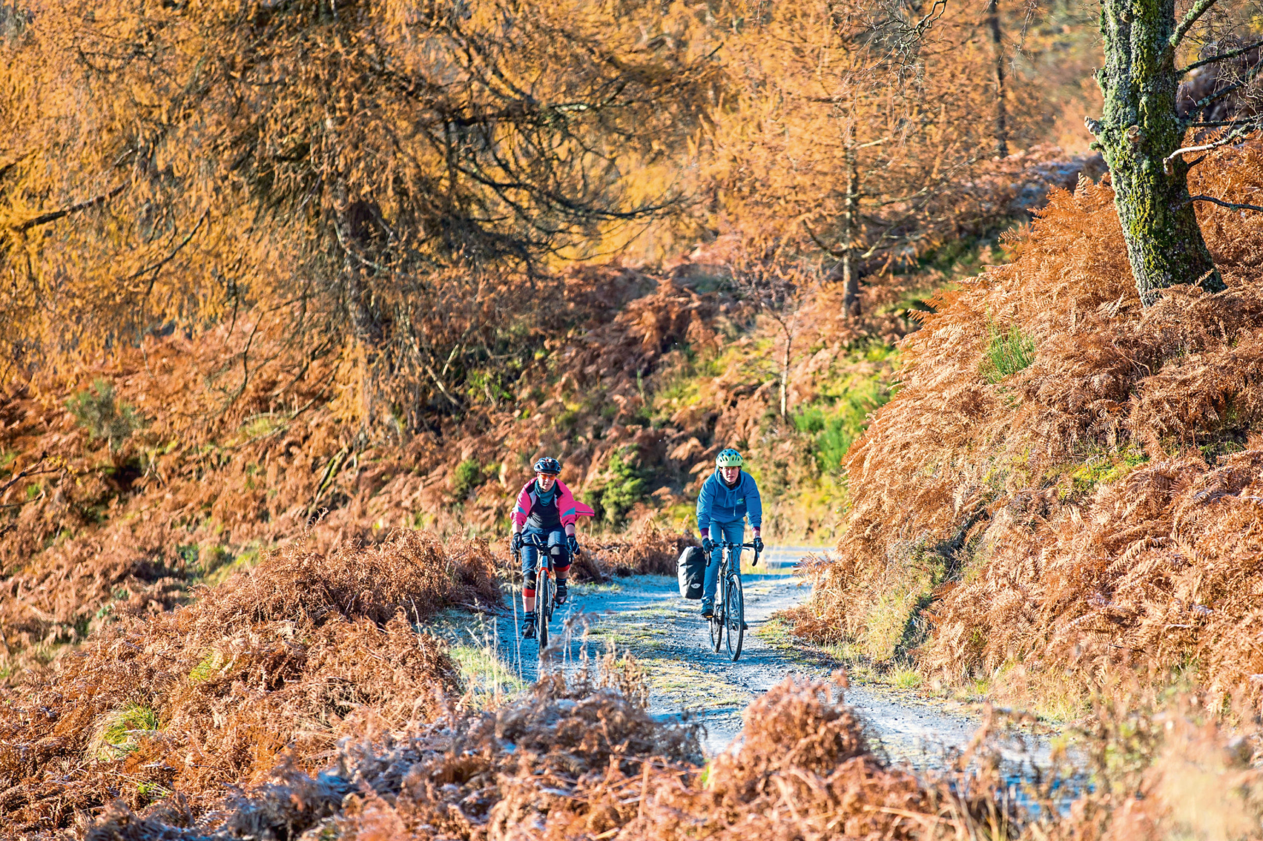 Cyclists on the Glack, Loch Ordie track, Dunkeld