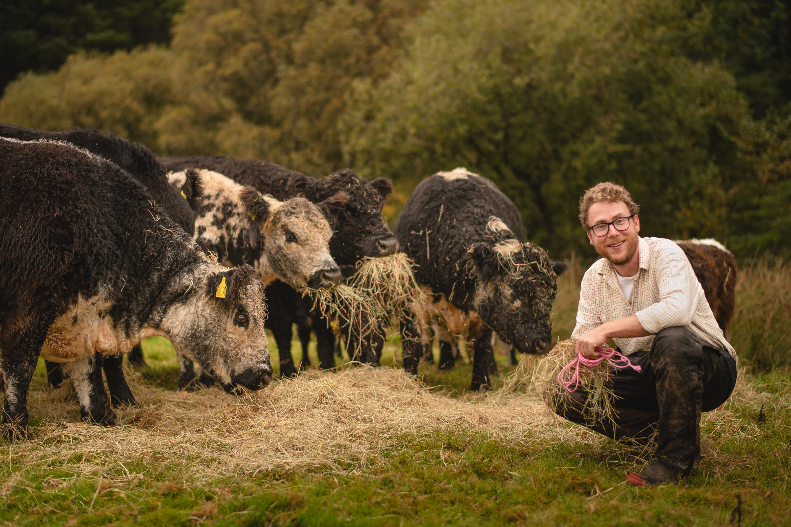 Author and farmer Patrick Laurie with his cantankerous but hardy herd of rare Riggit cows on his Galloway farm