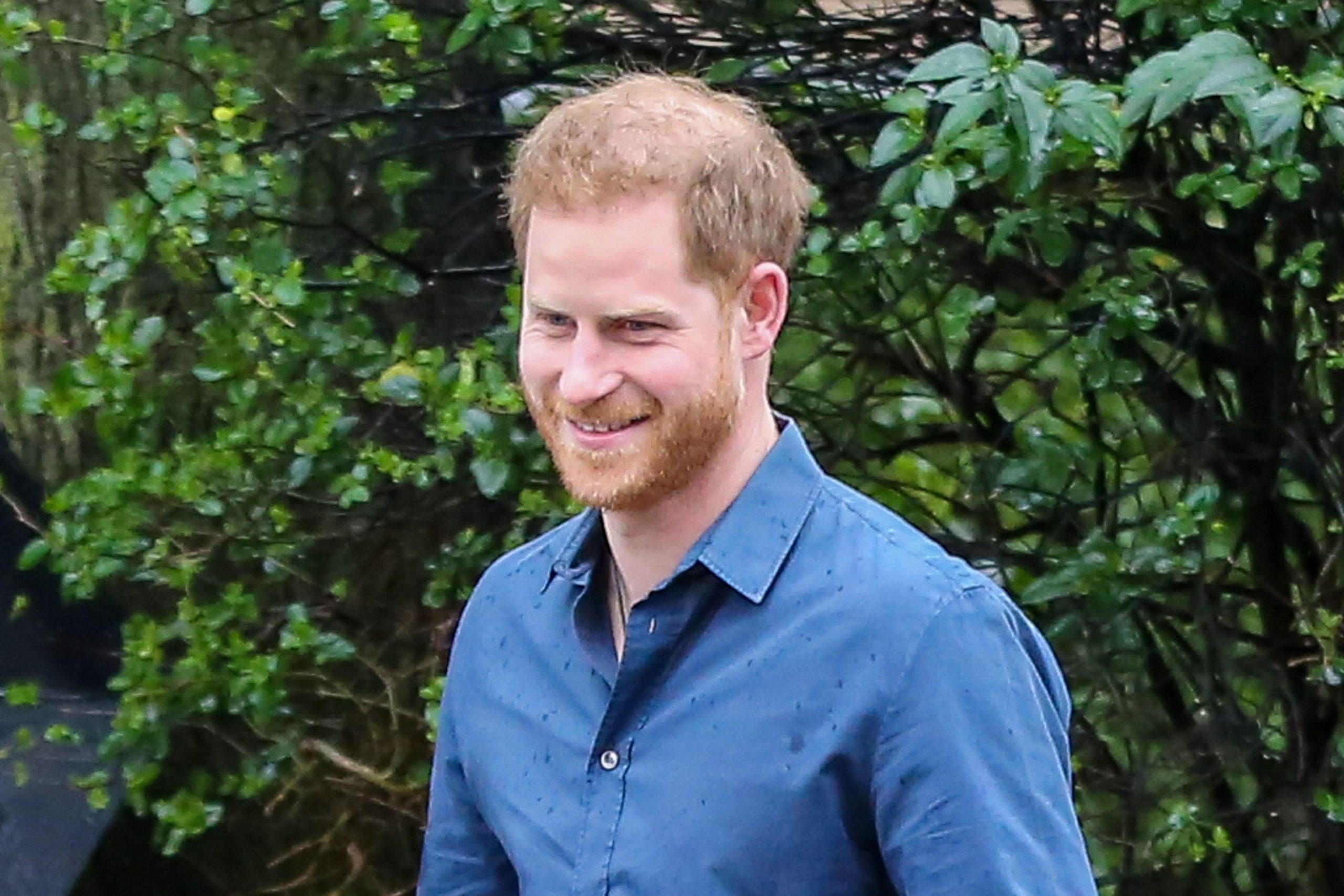 The Duke of Sussex