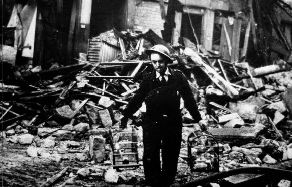 Air raid warden in Clydebank rescues pet birds during the Blitz in March 1941