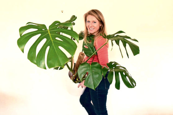 Kirsty Wilson with a Monstera Deliciosa