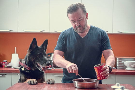Ricky Gervais as widower Tony with beloved German Shepherd Brandy in After Life season two