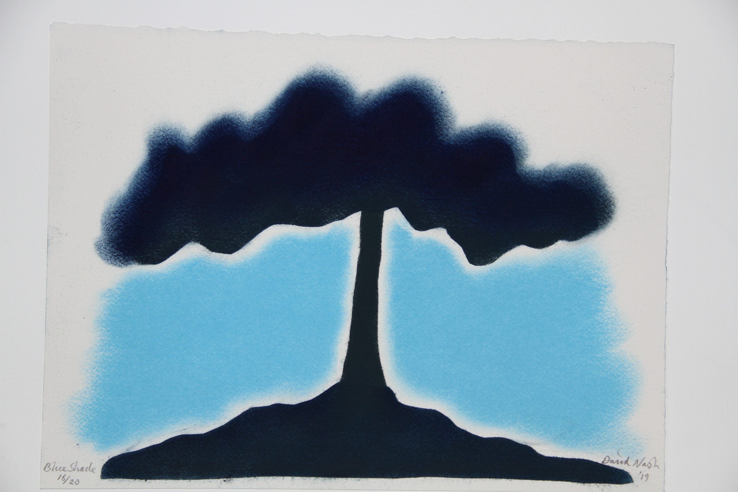 David Nash - Blue Shade