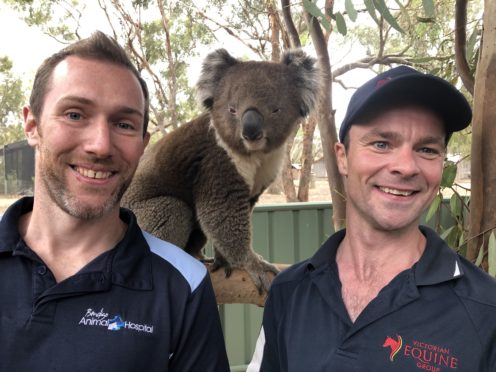 Scottish vets down under