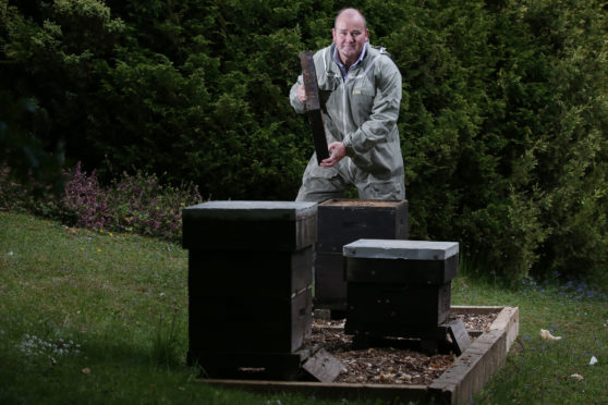 Stuart Hood tends to one of the new beehives