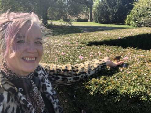 Wendy Rigg feeds her new pal, Pip the robin, in the park