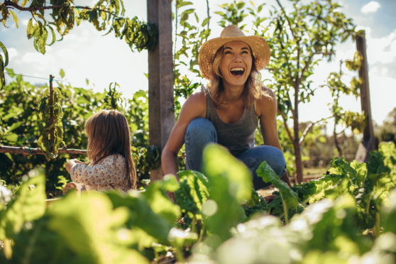 It’s the good life for many of us as we explore the chance to grow our own fruit and veg but demand is high and waiting lists for allotments in the city are already years long