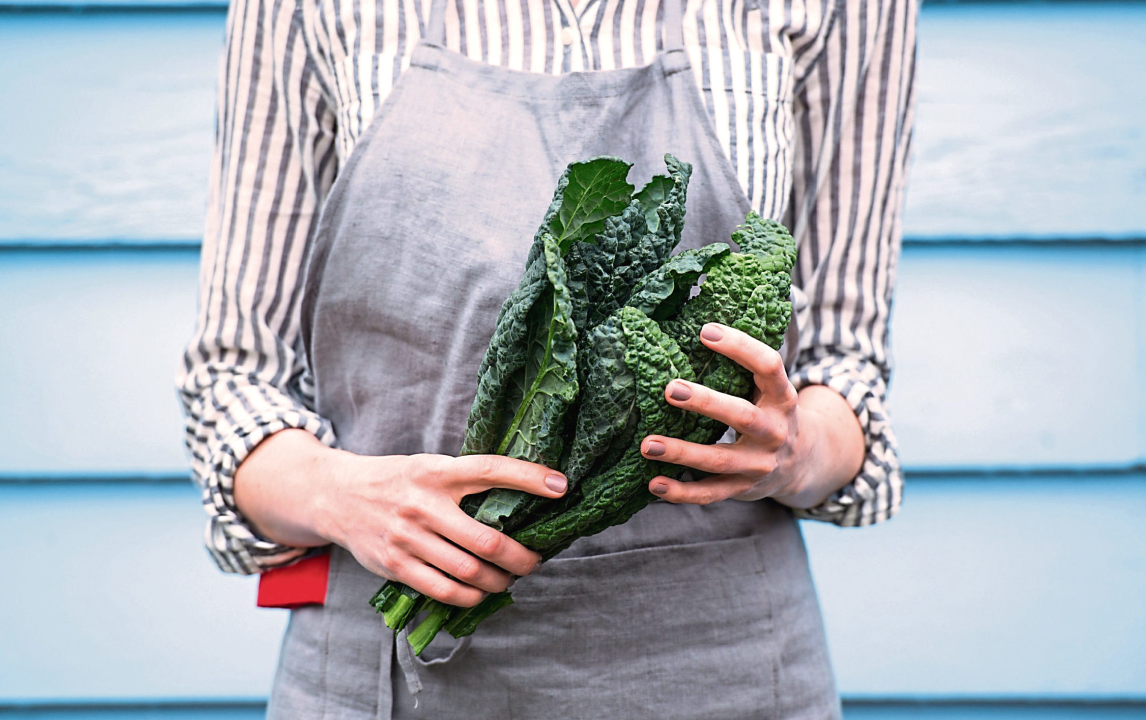 Tasty, trendy kale has made a big comeback