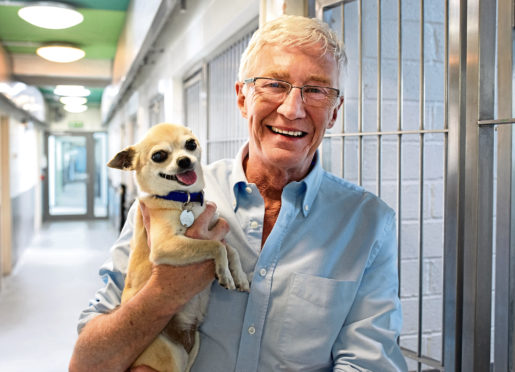 Paul meets Pumpkin the Chihuahua at Battersea Dogs and Cats Home
