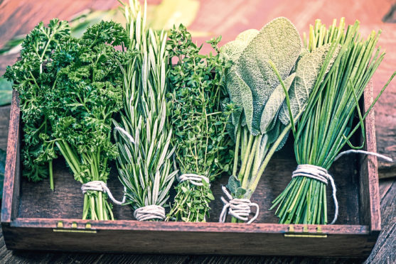 Growing your own herbs is the perfect lockdown task.