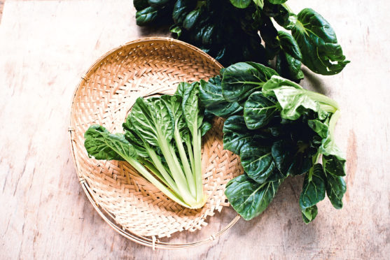 Pak choi is quite easy to grow in Scotland