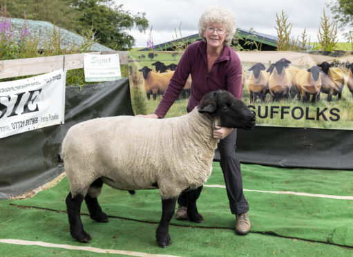 Irene Fowlie with one of the Essie Suffolk sheep she sends to Russia