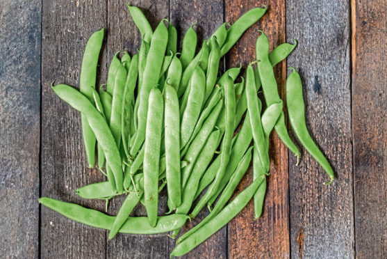 Pick runner beans before they begin to swell