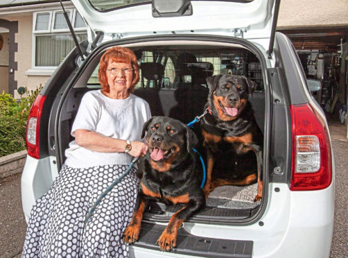 Dacia owner Eileen McDonald with Rottweilers Marsha and Carrie