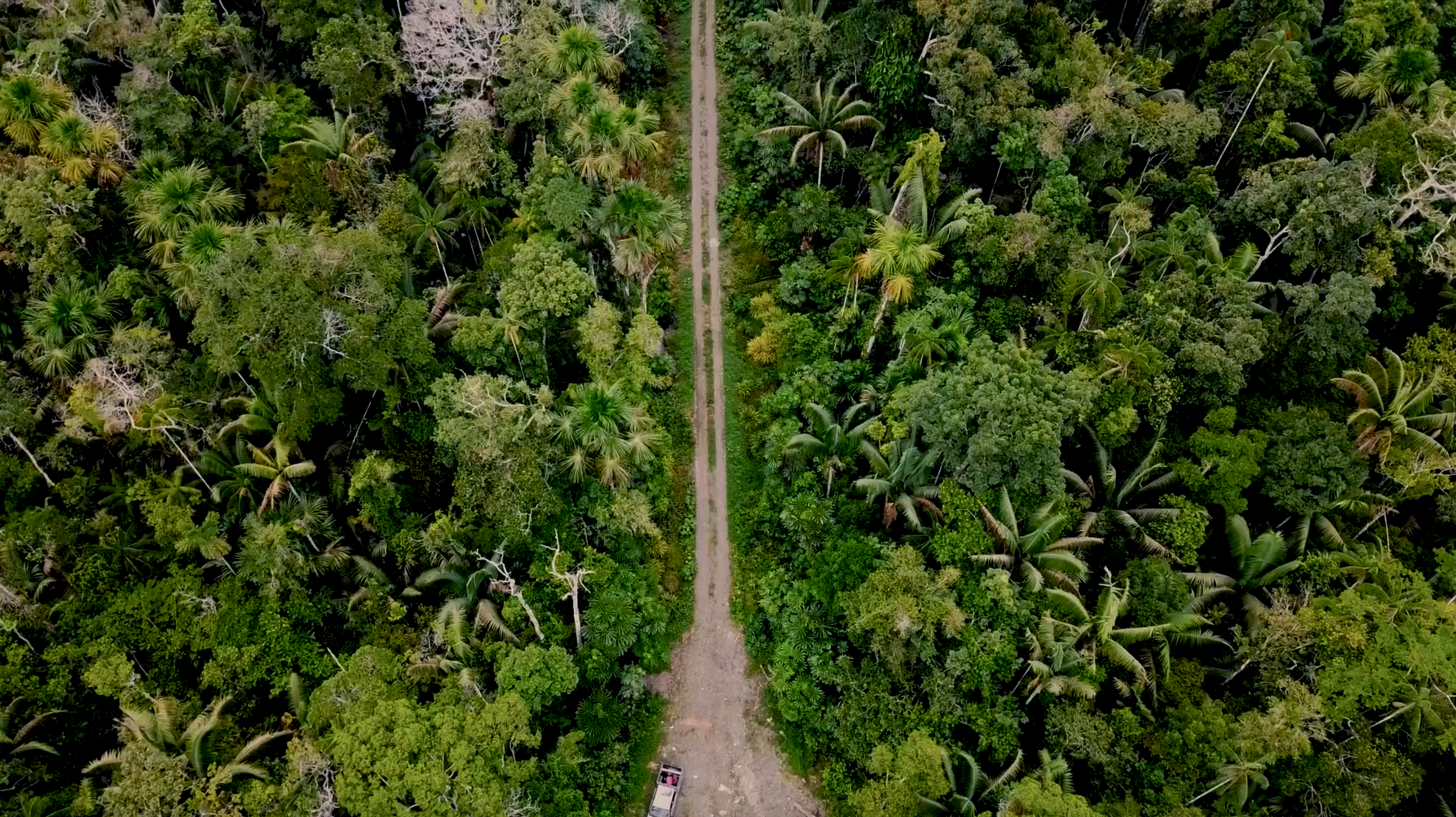 The road cutting through the Manu Biosphere Reserve.