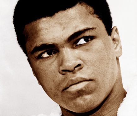 Cassius Clay 
in 1963 during 
his conversion to the Nation of Islam and transition to Muhammad Ali